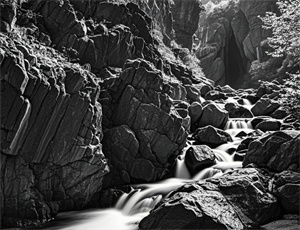 梦见情人买饺子